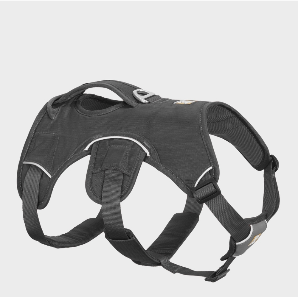 Ruffwear Web Master Dog Harness, size M